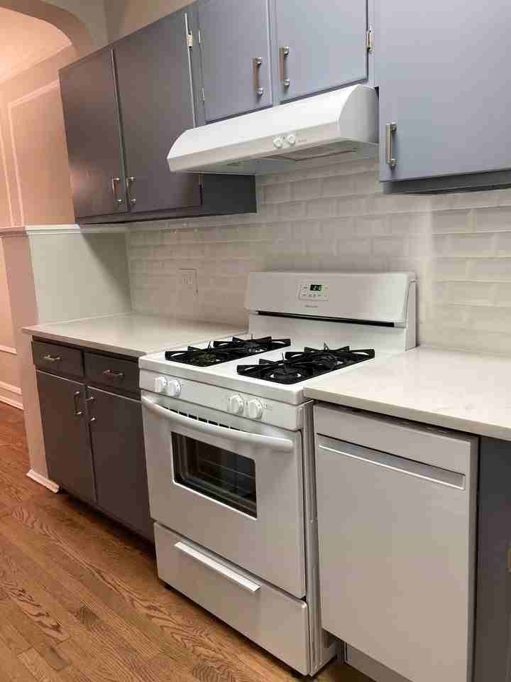 1649 W Touhy Ave #1S - Photo 2 of 12