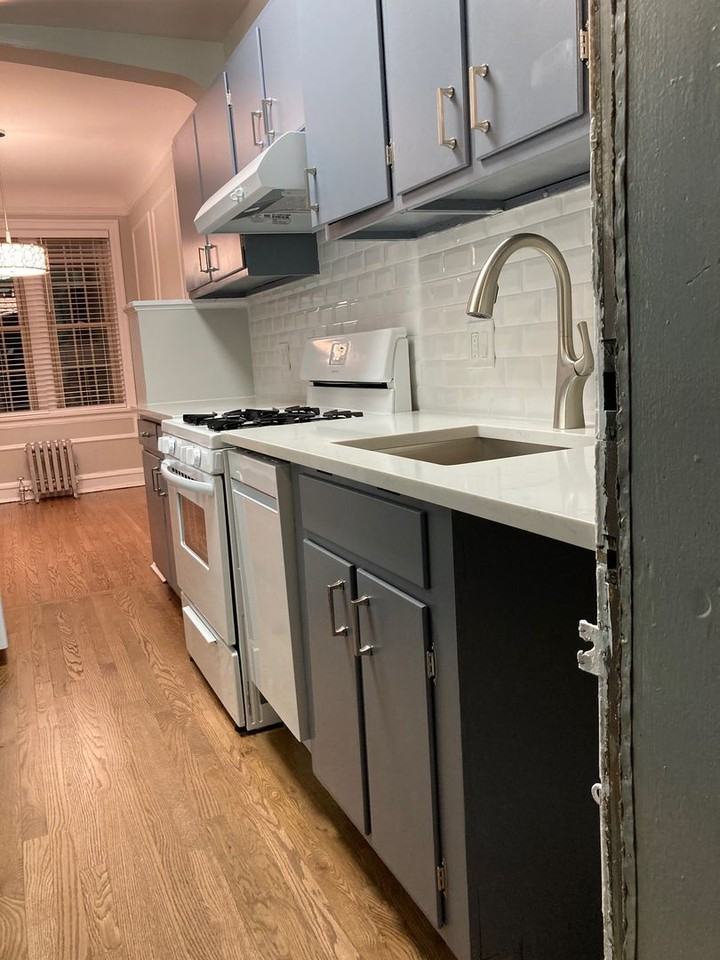 1649 W Touhy Ave #1S - Photo 3 of 12