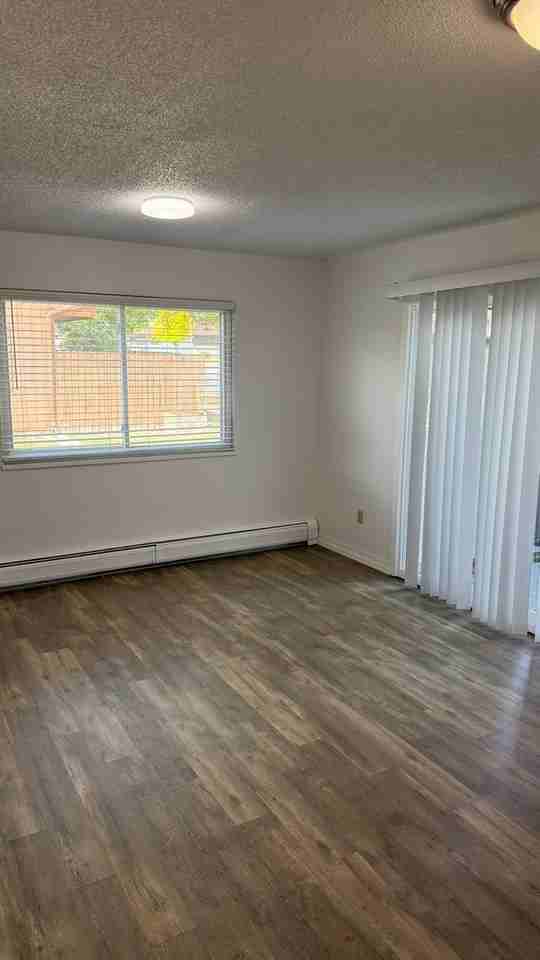 575 28 1/2 Rd - Photo 7 of 29