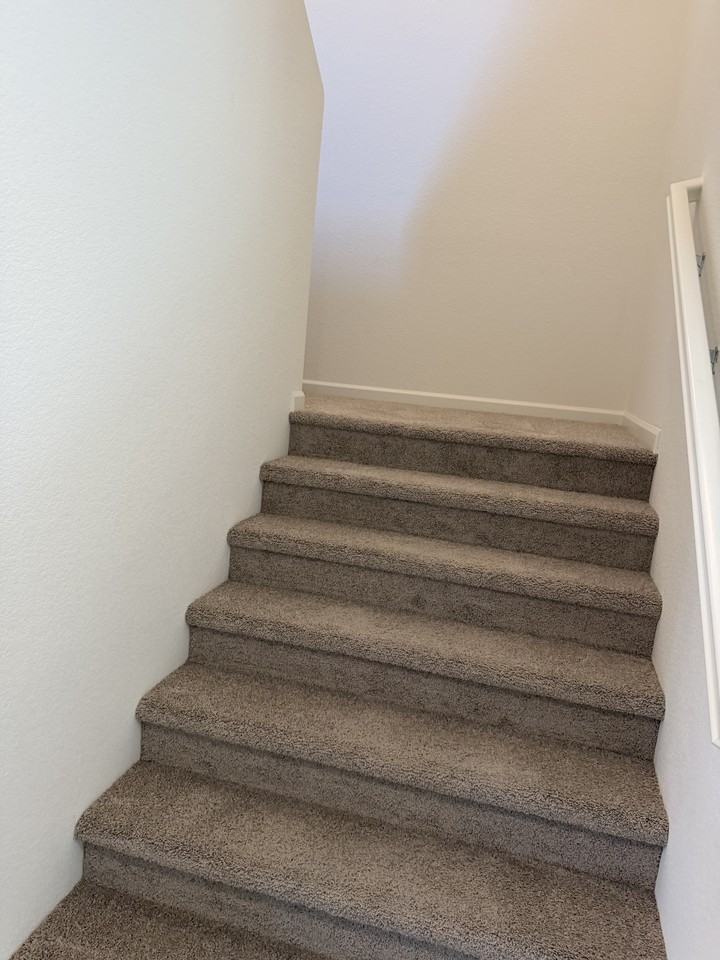 2406 Labrusca St #1 - Photo 7 of 11