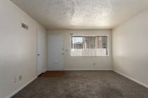 439 W 87th Pl #439 - Photo 5 of 16