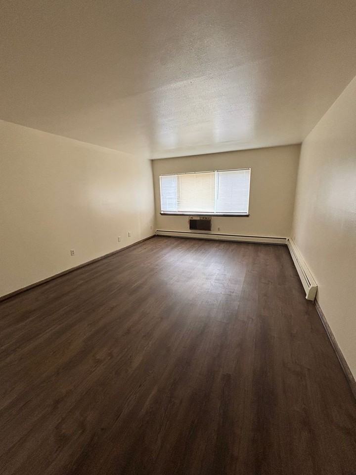 Spacious 1bedroom apartment - Photo 2 of 16