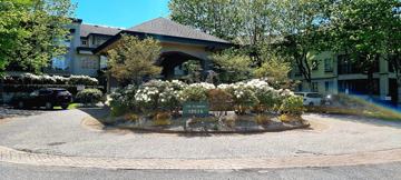 featured image of 19528 Fraser Highway ##106