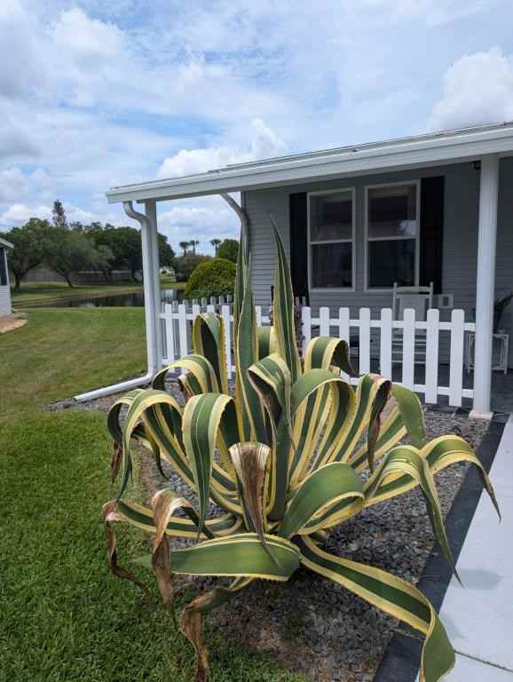 5626 Swan Lake Dr - Photo 2 of 50