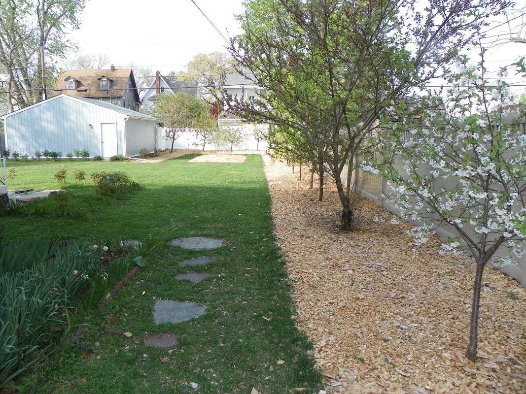 419 Lippincott Ave - Photo 3 of 18