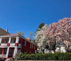 91 Wildey St - Photo 1 of 1