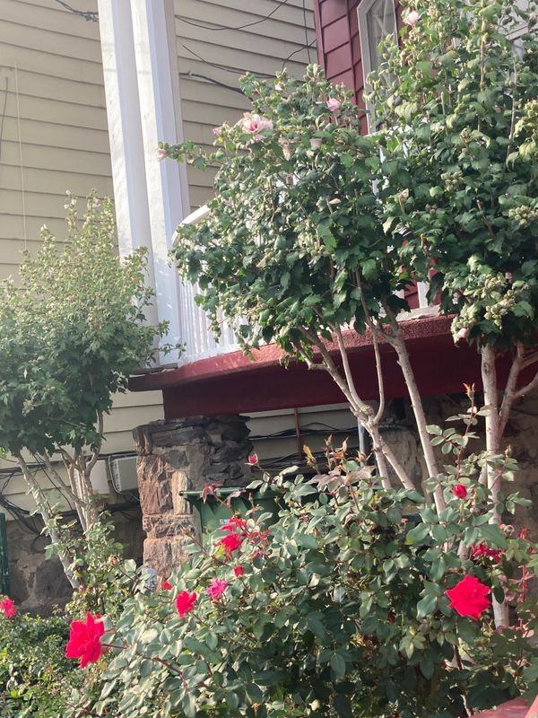91 Wildey St - Photo 4 of 5