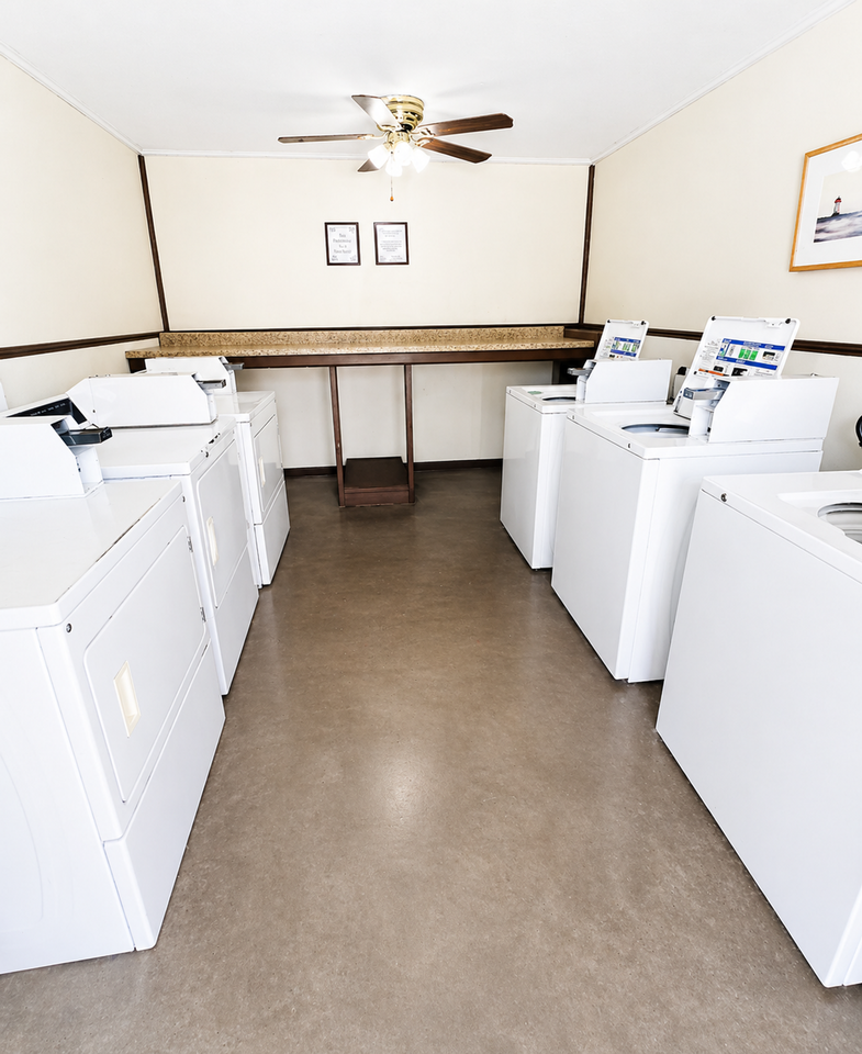 Pied Piper Apartments (Studio/1 Bath) - Photo 7 of 15