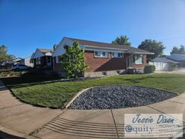 featured image of 229 Ws