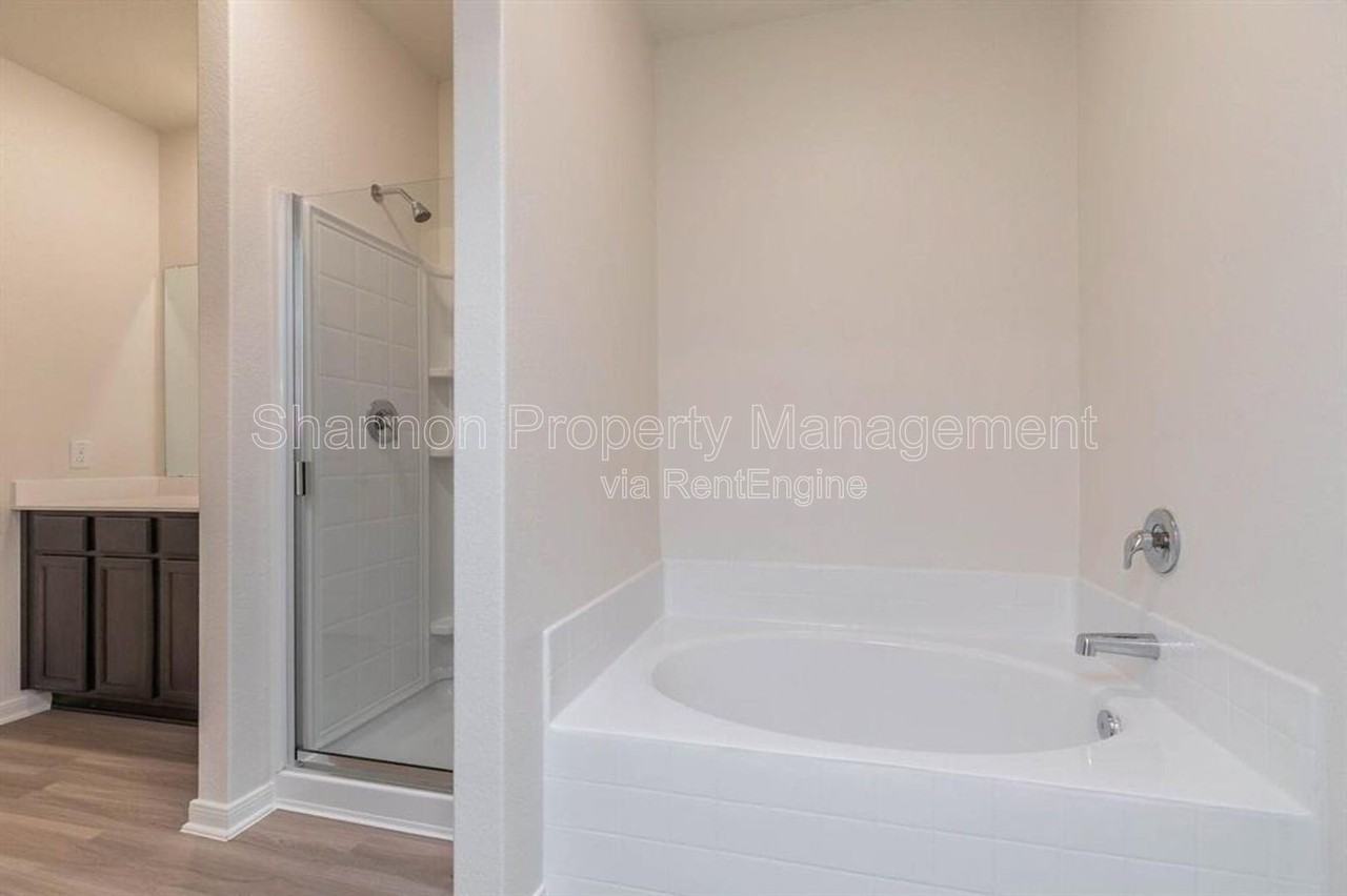 20722 Nala Bear Dr - Photo 6 of 24