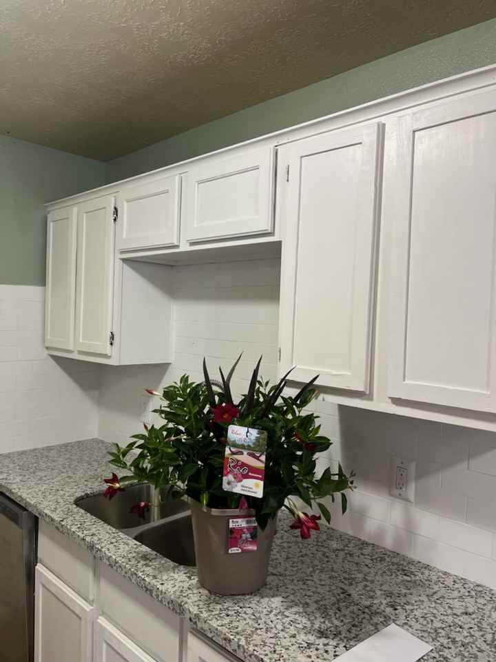 2205 Crest St #NA - Photo 7 of 16