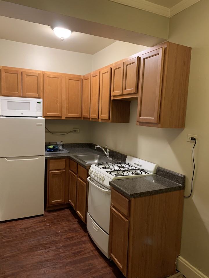 537 W Deming Pl #307 - Photo 5 of 22