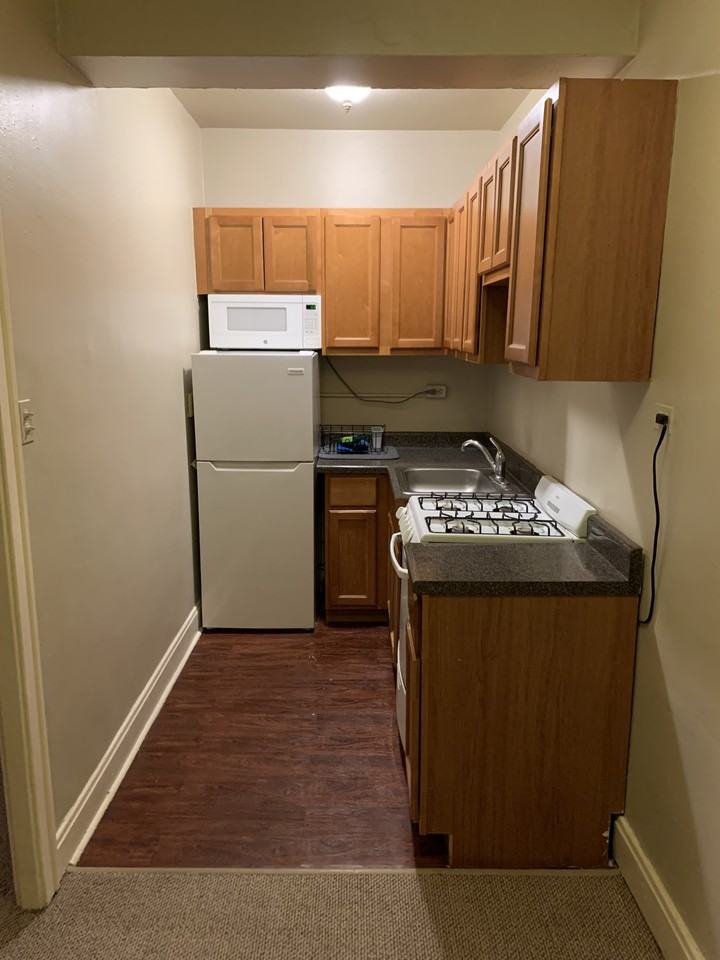 537 W Deming Pl #307 - Photo 6 of 22