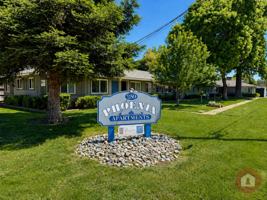 featured image of 259 Rio Lindo Ave