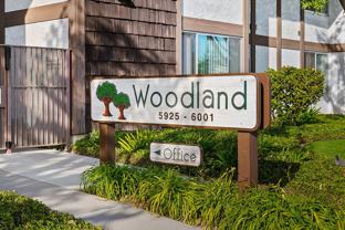 Woodland - Photo 1 of 1
