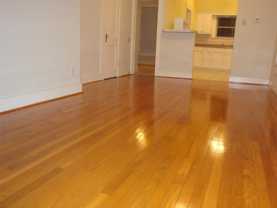 401 Shelley St - Photo 1 of 1