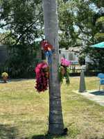 featured image of 10464 106th Ave #5