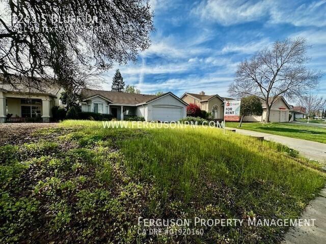 1243 S Bluff Dr - Photo 3 of 17