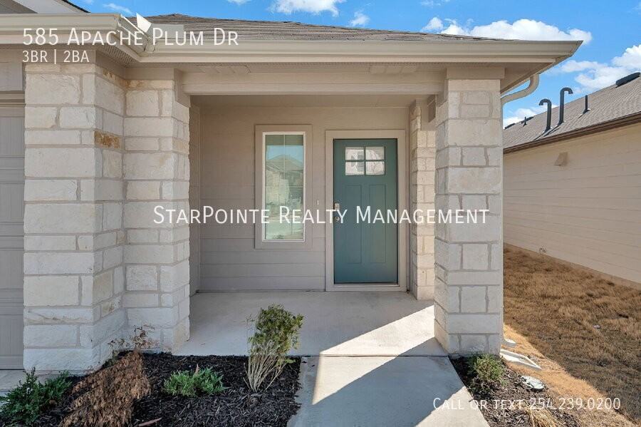 585 Apache Plum Dr - Photo 4 of 38