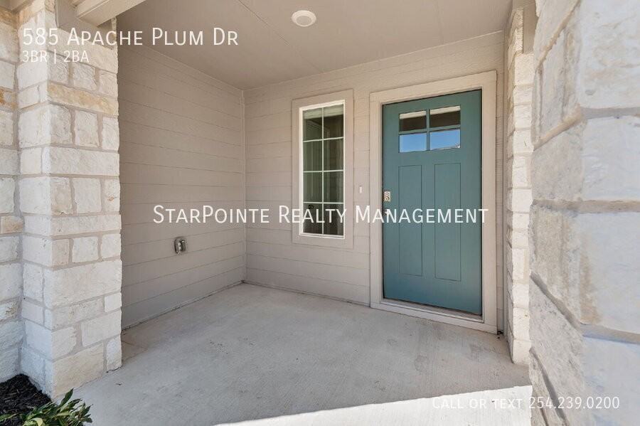 585 Apache Plum Dr - Photo 5 of 38