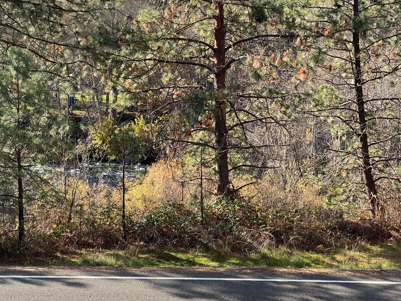 10605U Upper Applegate Rd - Photo 2 of 16