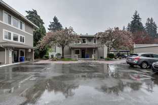 831 126th Pl Ne - Photo 1 of 1