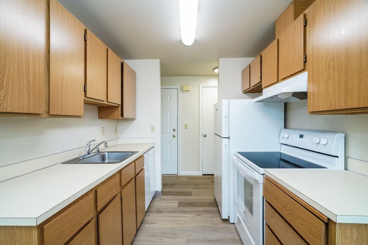 Magenta Apartments - Photo 6 of 21