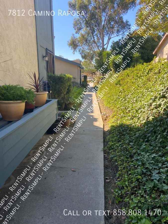 7812 Camino Raposa - Photo 2 of 23