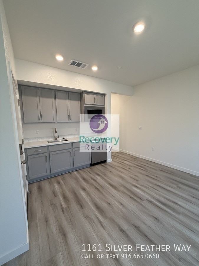 1161 Silver Feather Way - Photo 4 of 13