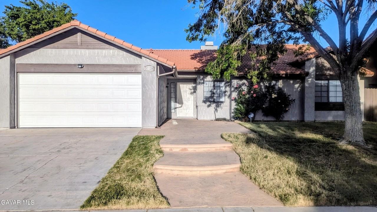 37734 Tackstem St