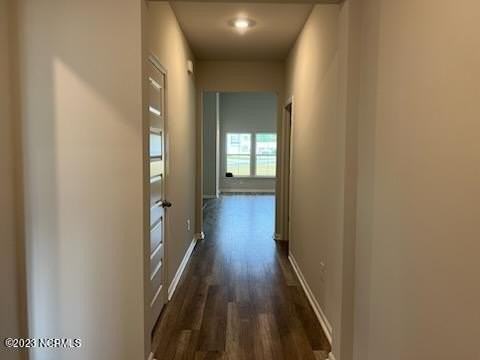 1655 White Starfish Ct - Photo 2 of 13