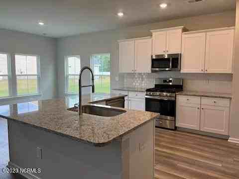 1655 White Starfish Ct - Photo 5 of 13