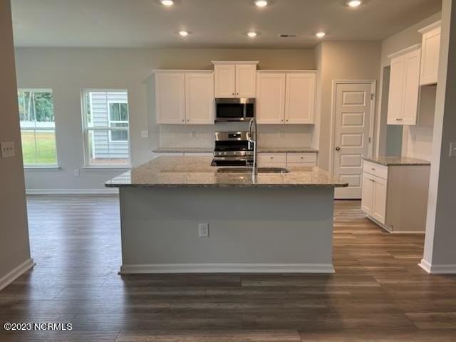 1655 White Starfish Ct - Photo 7 of 13