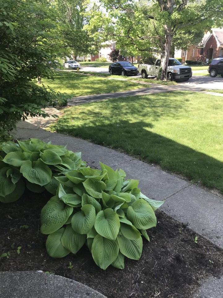 476 Bob O Link Dr #B - Photo 2 of 32