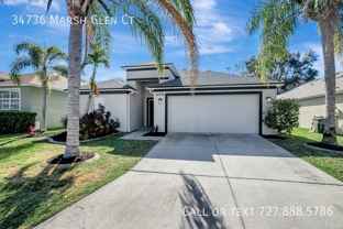 34736 Marsh Glen Ct - Photo 1 of 1