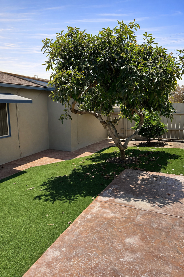 3085 Palm St - Photo 2 of 19