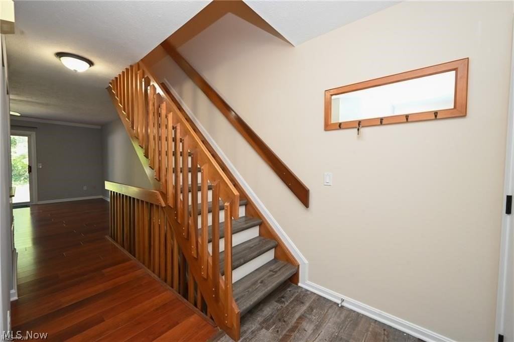 655 Almas Ct - Photo 3 of 36