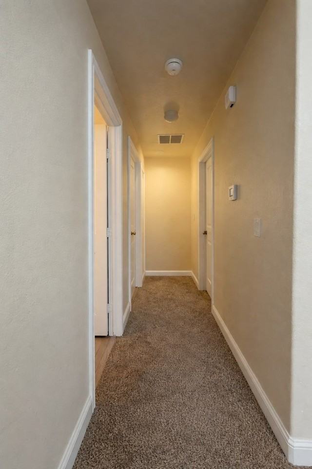 1315 Yellow Rose Ct - Photo 6 of 10