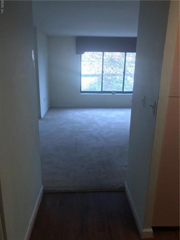 7501 River Rd #2C - Photo 4 of 11