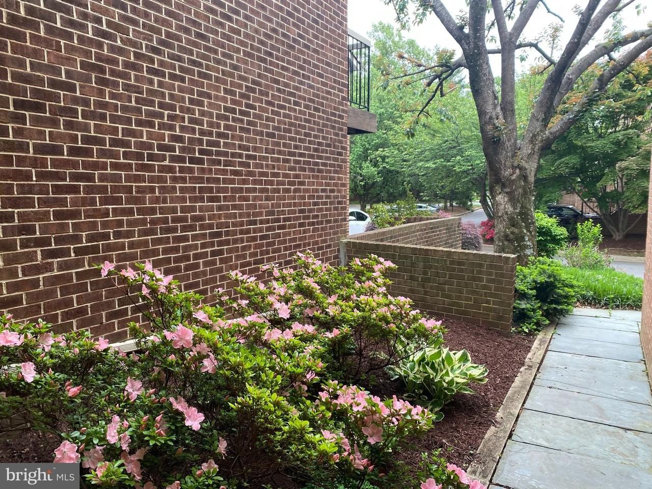 20 Valerian Ct - Photo 3 of 36