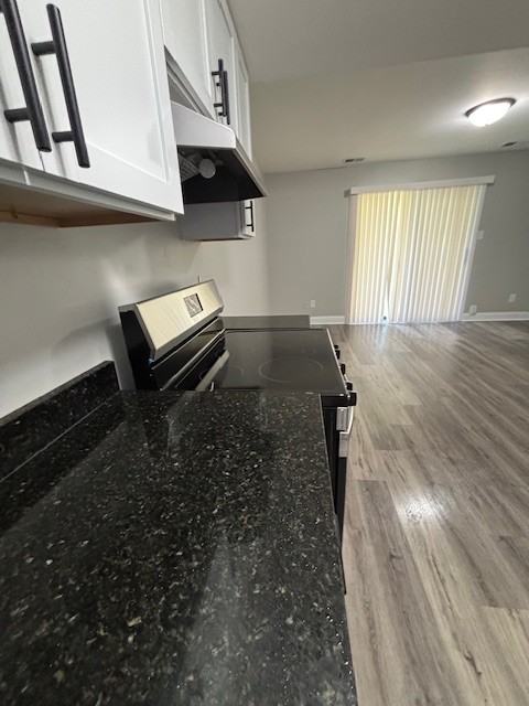 1646 W Morgan Ave #1646 - Photo 5 of 13