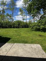 3155 Silver Rock Ave #3157 - Photo 1 of 1