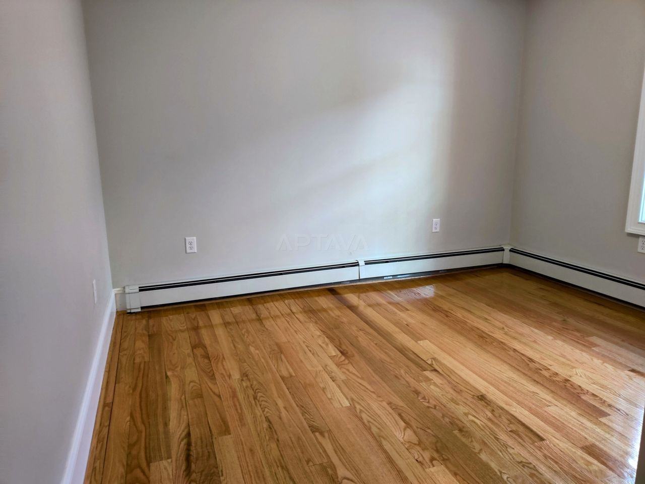 179 Albion St #1 - Photo 6 of 7