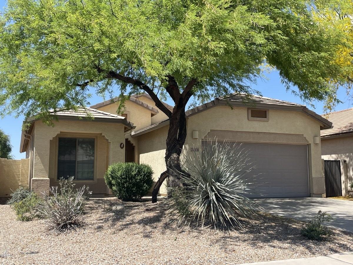37078 W Mondragone Ln - Photo 4 of 18
