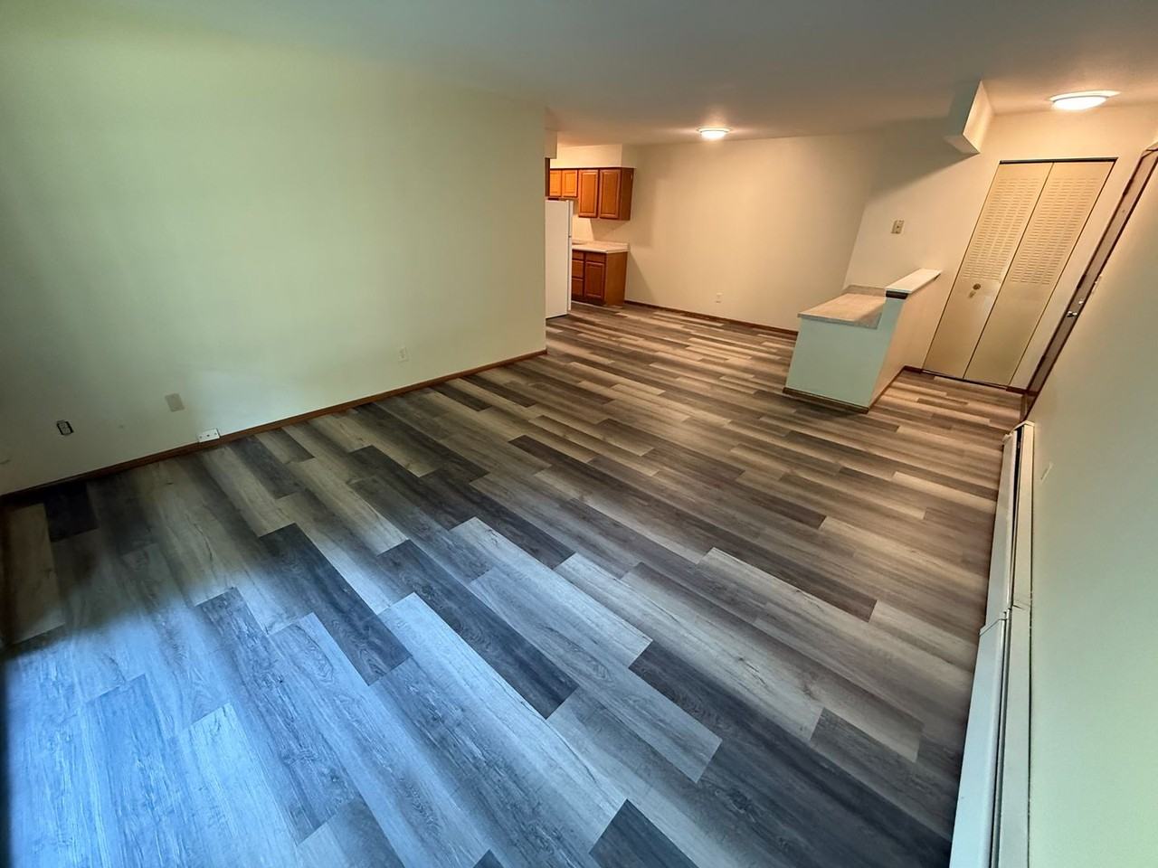 Williamsburg Flats 214 - Photo 2 of 39