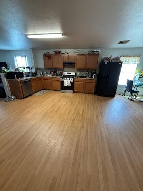 10007 Copper Hollow Ln - Photo 4 of 11