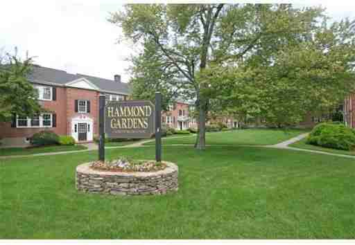 9 Hammond Pond Pkwy #2 - Photo 6 of 6