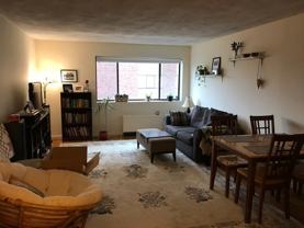 40 Williams St #203 - Photo 1 of 1