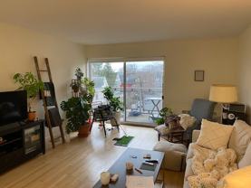35 Vernon St #207 - Photo 1 of 1