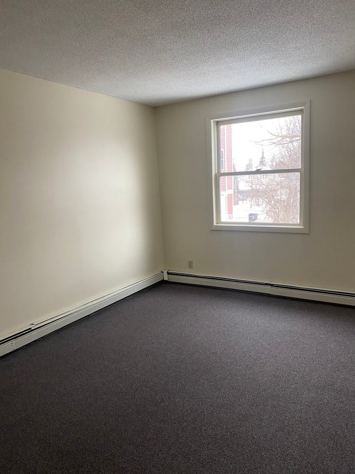 241 Pearl St - Photo 3 of 4